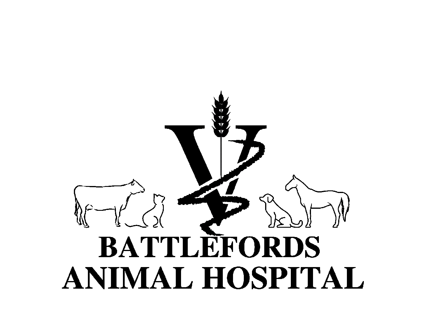 BAH Logo